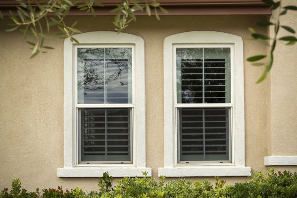 Single Hung Window Replacement in The Colony
